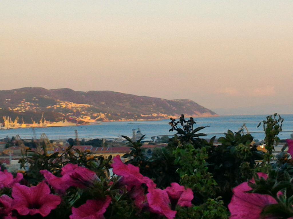 Dreams Guest House La Spezia Kültér fotó